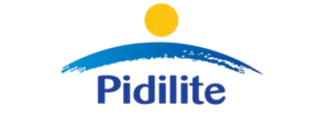 Pidilite